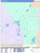 Maple Grove Digital Map Color Cast Style